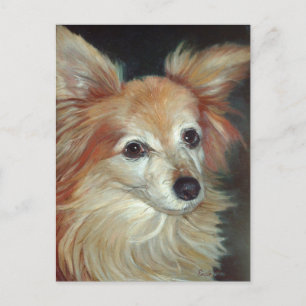 Papillon Postcard Postkarte