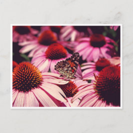 Papillon Postkarte