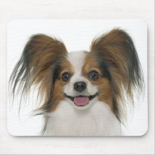 Papillon Puppy Mama Dog Lover Welpen Fur Mama Mousepad