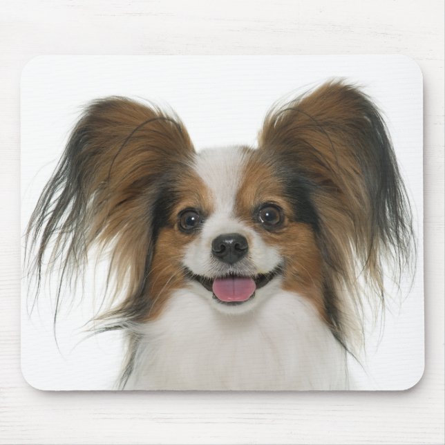 Papillon Puppy Mama Dog Lover Welpen Fur Mama Mousepad (Vorne)