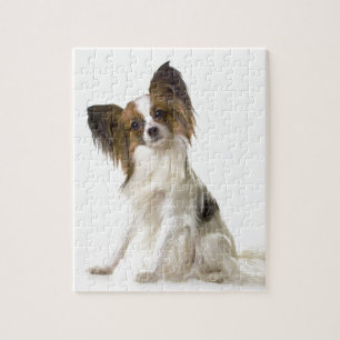 Papillon Puzzle