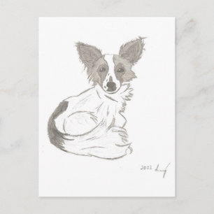 Papillon Sketch Postcard Postkarte
