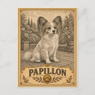 Papillon, Vintage-Hunderasse Postkarte
