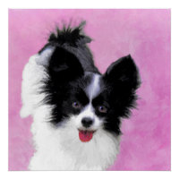 Papillon (weiß und schwarz) Malerei - Hundekunst