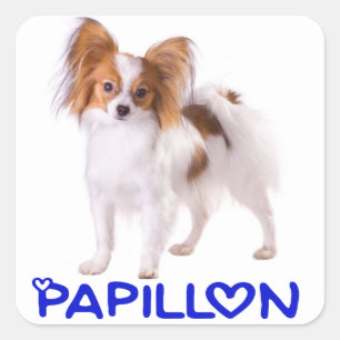 Papillon Welpe - Liebe Welpen, Hallo Quadratischer Aufkleber