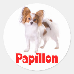 Papillon-Welpe - Liebe Welpen, Hallo Runder Aufkleber