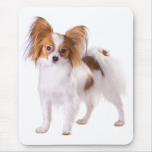 Papillon Welpe Mama Hund Lover Welpen Mama Mousepad
