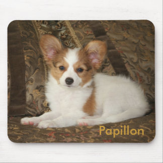 Papillon Welpe Mousepad