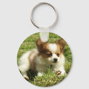 Papillon Welpe Schlüsselanhänger