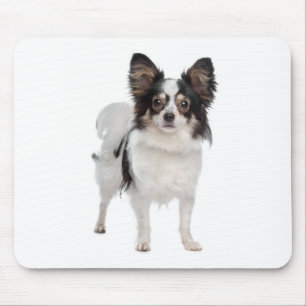 Papillon-Welpen-Mama Hunde Liebhaber Welpen Fell Mousepad