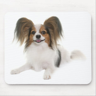 Papillon-Welpen-Mama-Hundefreundin Fell-Mama Mousepad