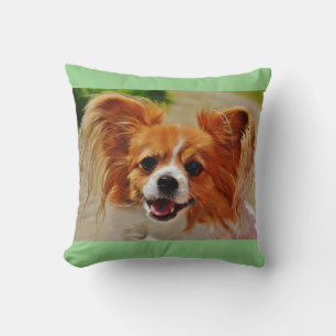 Papillon wirft Kissen. Kissen