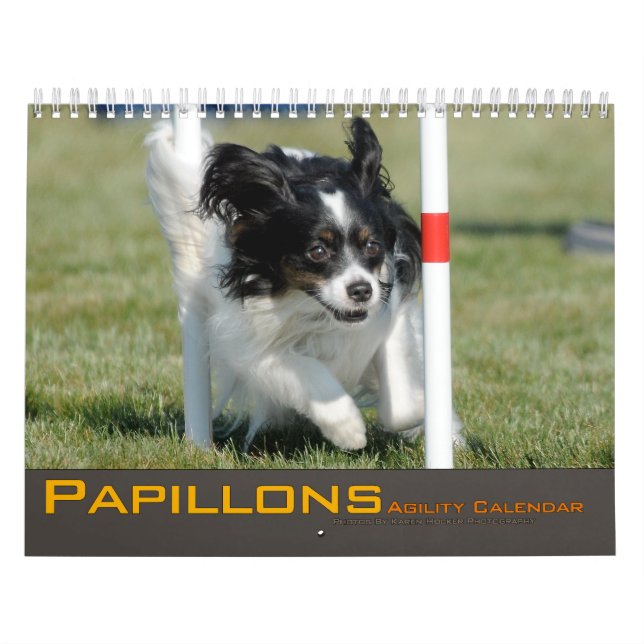Papillons Agility-Kalender 2012 Kalender (Titelbild)