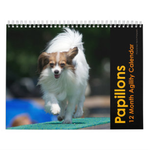 Papillons Agility-Wandkalender Kalender