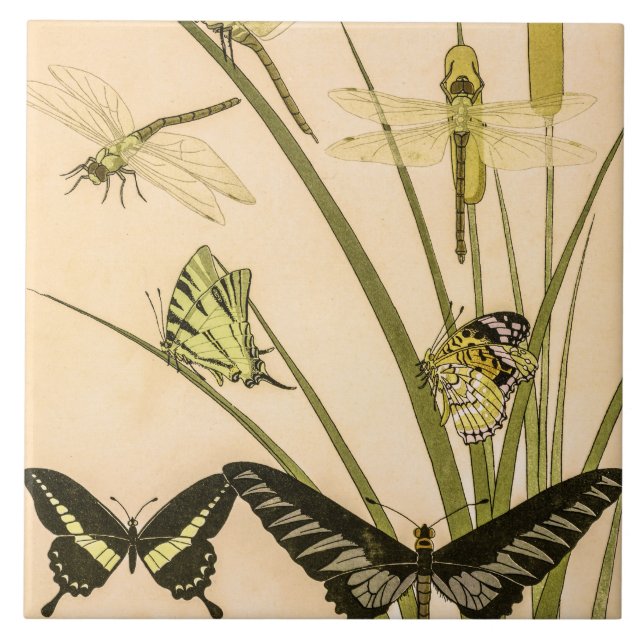 Papillons & Dragonfets von Maurice Verneuil Fliese (Vorderseite)