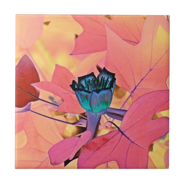Pappel-Baum-Tulpe Fliese (Vorderseite)