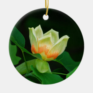 Pappel-Baum-Tulpeverzierung Keramikornament