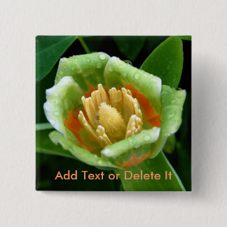 Pappelbaum-Tulpe-Button Button