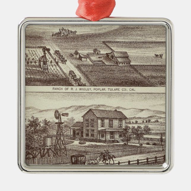 Pappelranchs Ornament Aus Metall (Vorne)
