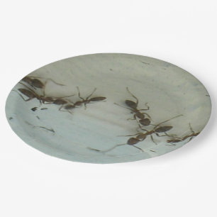 Pappteller - Ameisen am Picknick