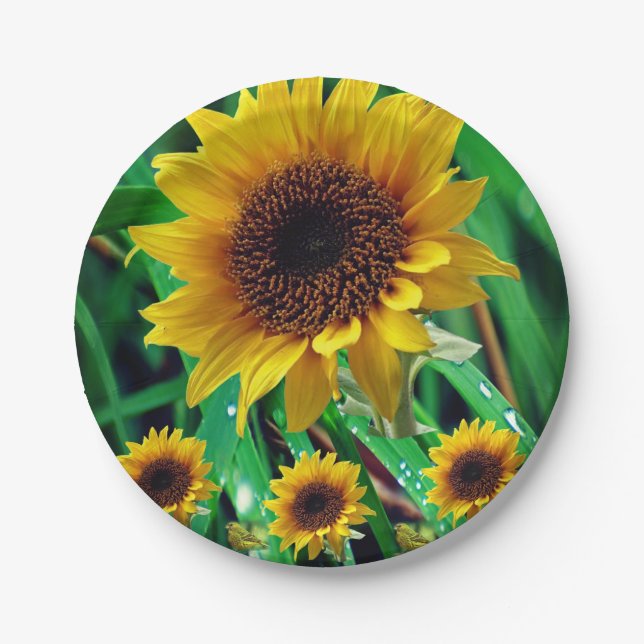 Pappteller Sonnenblumen (Vorderseite)