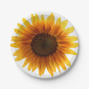 Pappteller Sonnenblumen