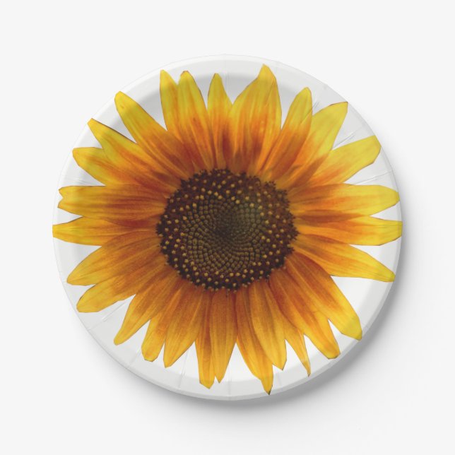 Pappteller Sonnenblumen (Vorderseite)
