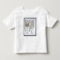 Paprika-Pfeffer-Pflanzen, vom 'Hortus Eystettensi