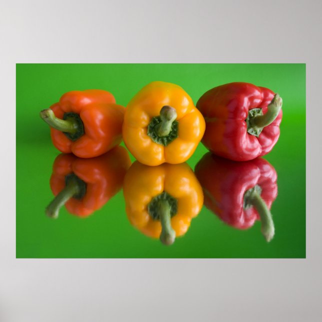 Paprika Poster (Vorne)