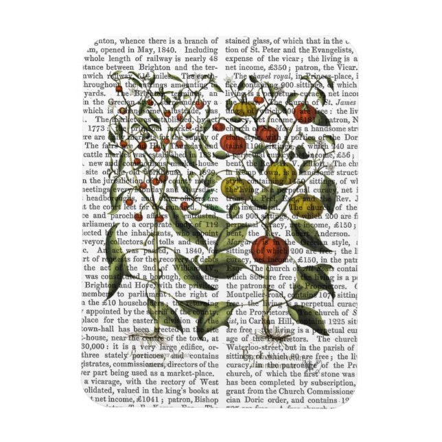 PAPRIKASCHOTEN 4 MAGNET (Vertikal)