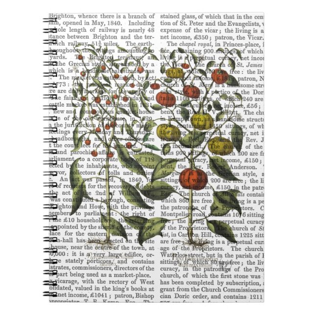 PAPRIKASCHOTEN 4 NOTIZBLOCK (Vorderseite)