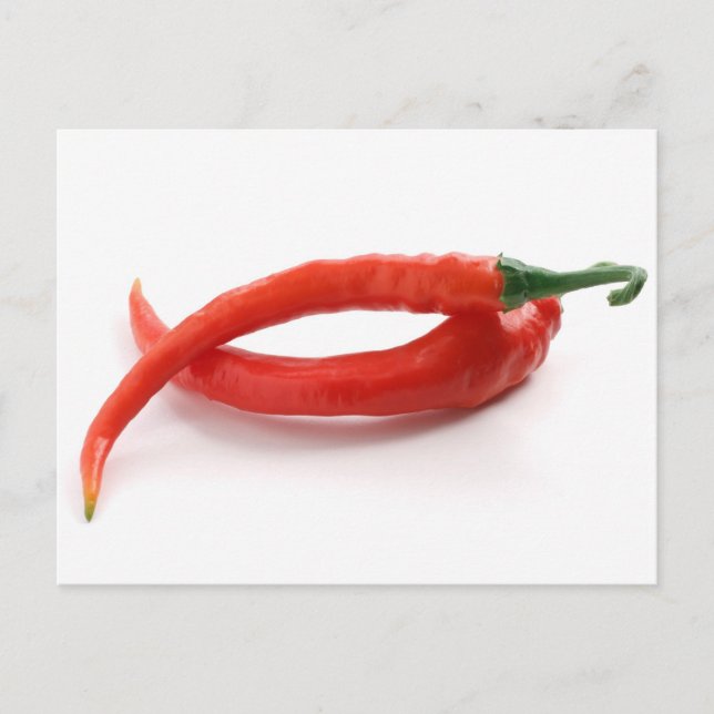 Paprikaschoten des Chilis Postkarte (Vorderseite)