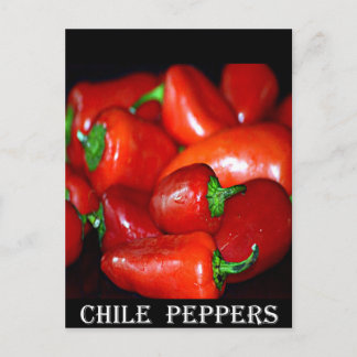 Paprikaschoten des neuen Mexiko-Chilis (Chile) Postkarte