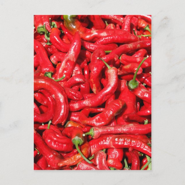 Paprikaschoten Roter Chili im Freien in der Sommer Postkarte (Vorderseite)