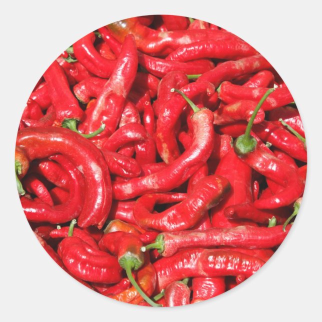 Paprikaschoten Roter Chili im Freien in der Sommer Runder Aufkleber (Vorderseite)