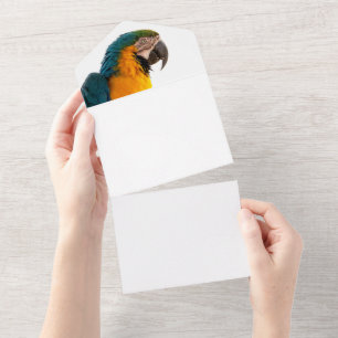 Paprot All In One Einladung