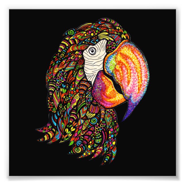 Paprot Fotodruck (Vorne)