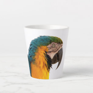 Paprot Milchtasse