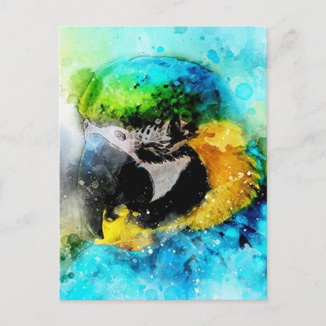 Paprot Postkarte (Vorderseite)