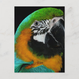 Paprot Postkarte