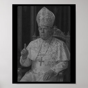 Papst Trump Lustiger Amerikanischer Präsident Trum Poster
