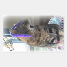 PAR Caesar Aufkleber