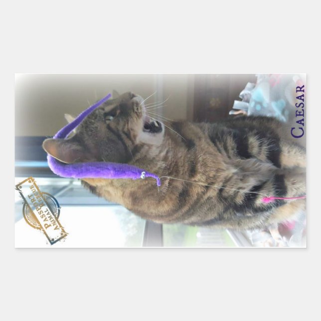 PAR Caesar Aufkleber (Vorderseite)