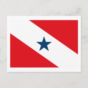 Para Flag Postkarte