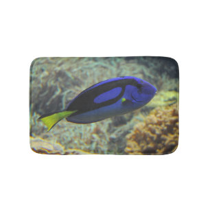 Paracanthurus hepatus badematte