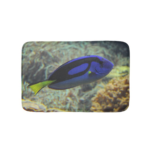 Paracanthurus hepatus badematte (Vorderseite)