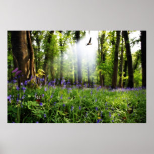 Paradies gefunden Plakat