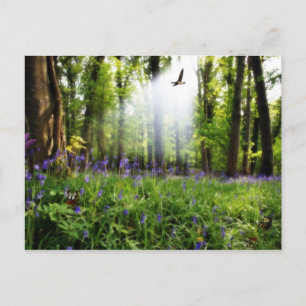 Paradies gefunden Postkarte