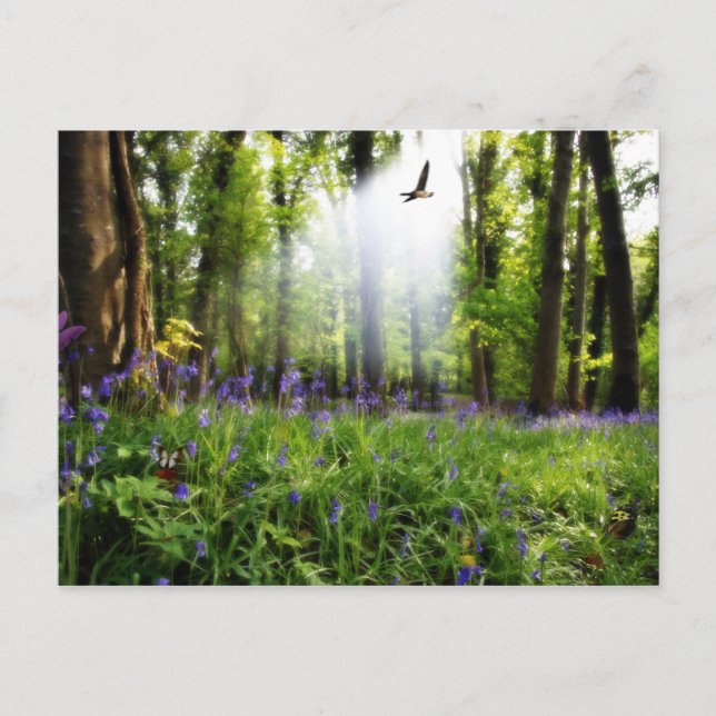 Paradies gefunden Postkarte (Vorderseite)