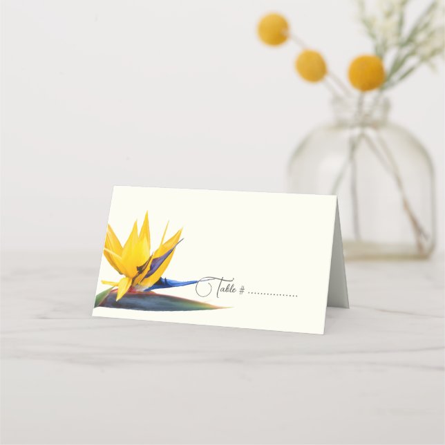 Paradies geteerter Begleitschutz oder Platzkarte E (Vorderseite)